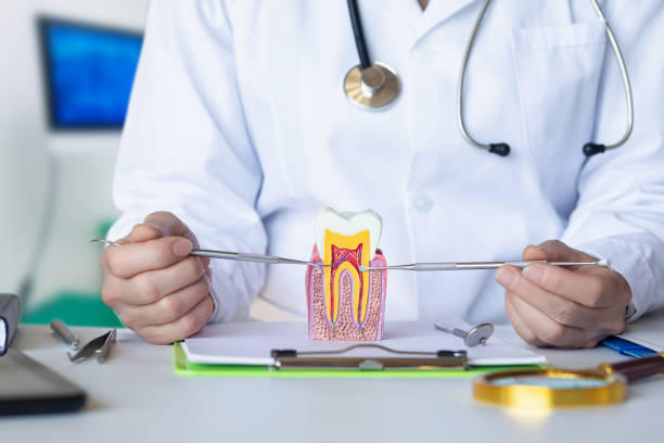 Best Orthodontic Emergency Dentist in Monument Hills, CA
